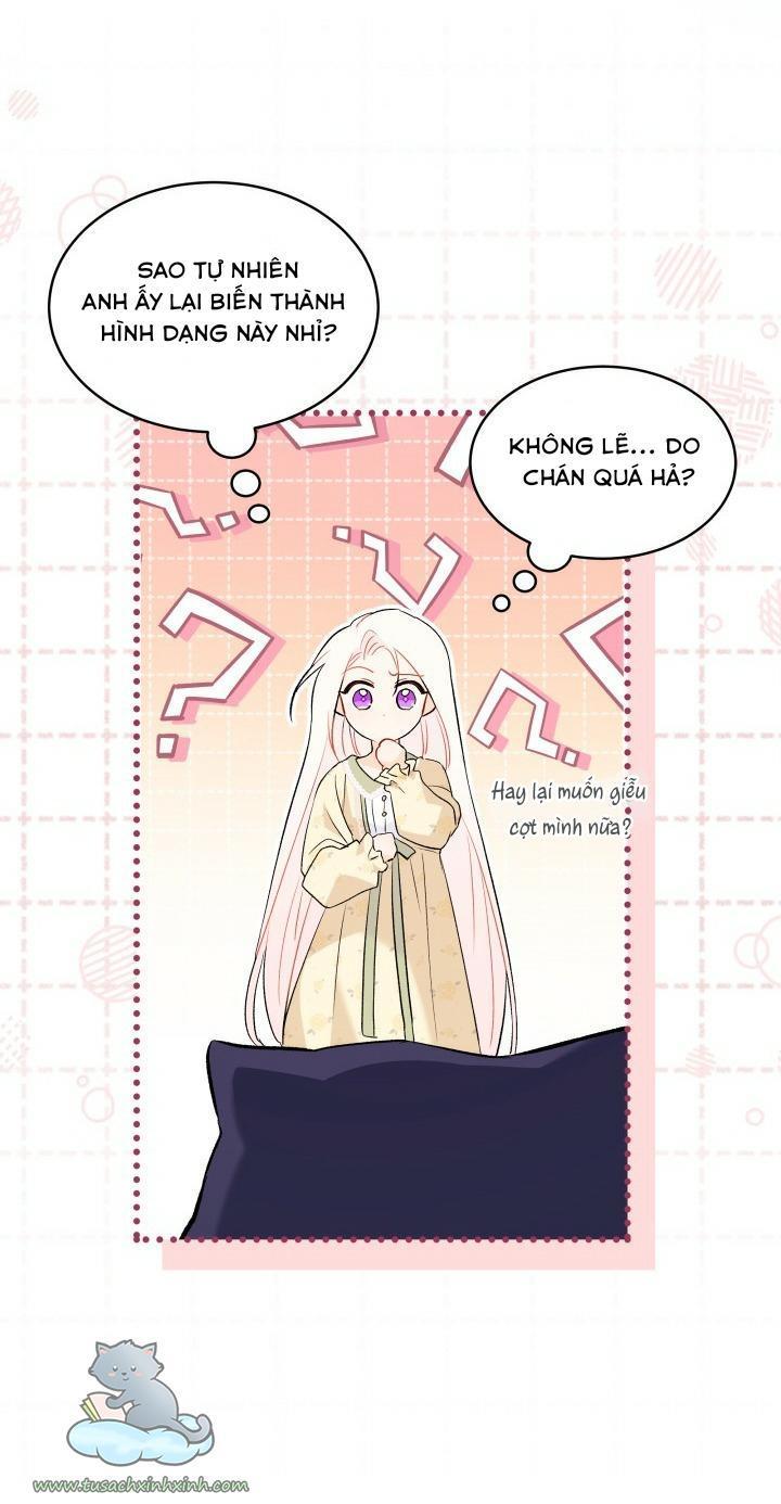 quan hệ cộng sinh giữa báo đen và thỏ trắng chapter 54 23