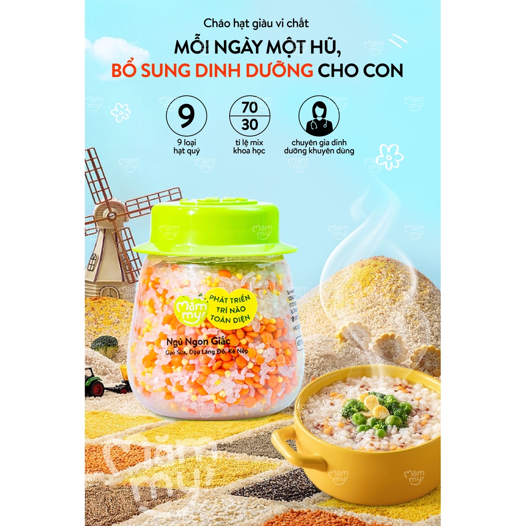 Combo 9 hũ hạt mix sẵn Mămmy nấu cháo bổ sung chất dinh dưỡng cho bé ăn dặm trên 6 tháng 