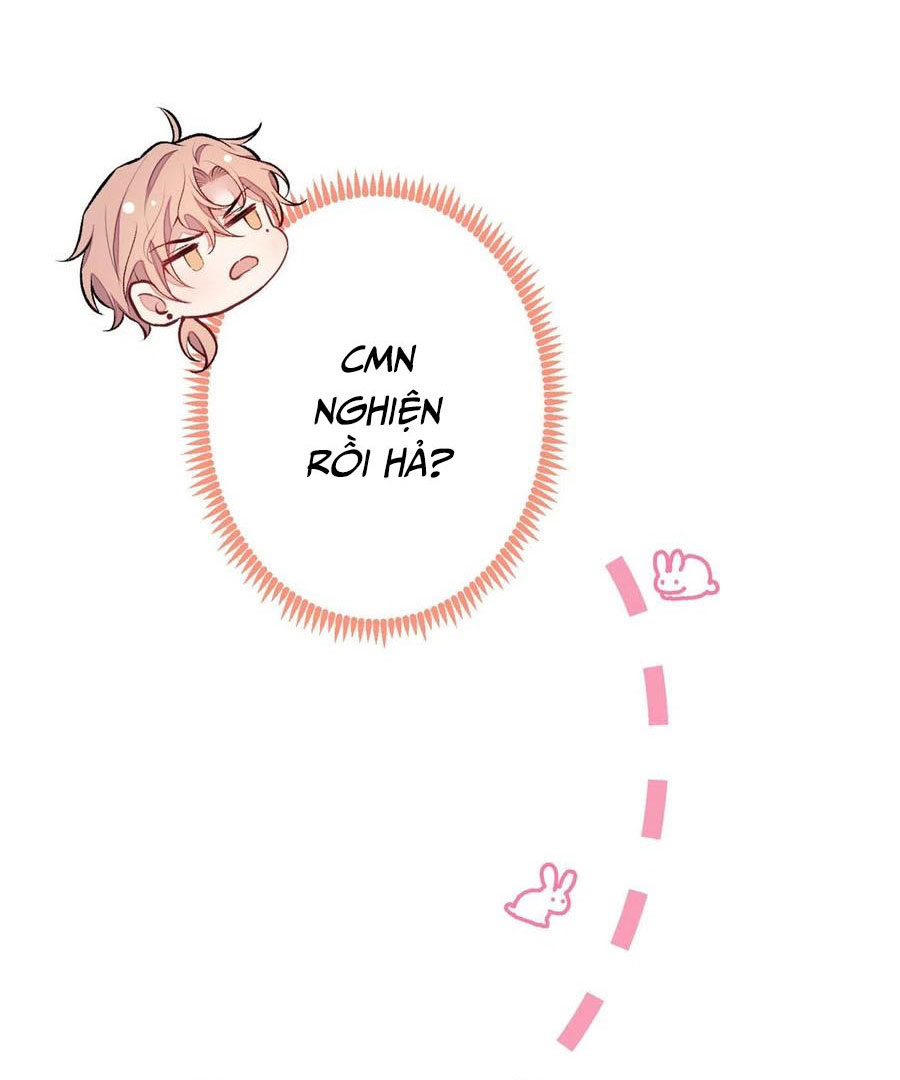 lại bị nam thần chọc trên hot search! chapter 80 12