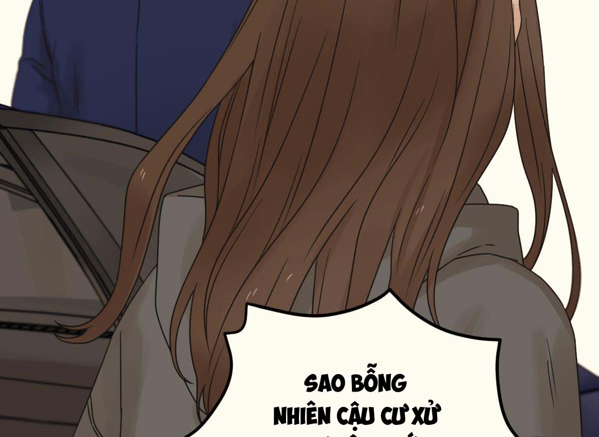 tương phùng chapter 31 317