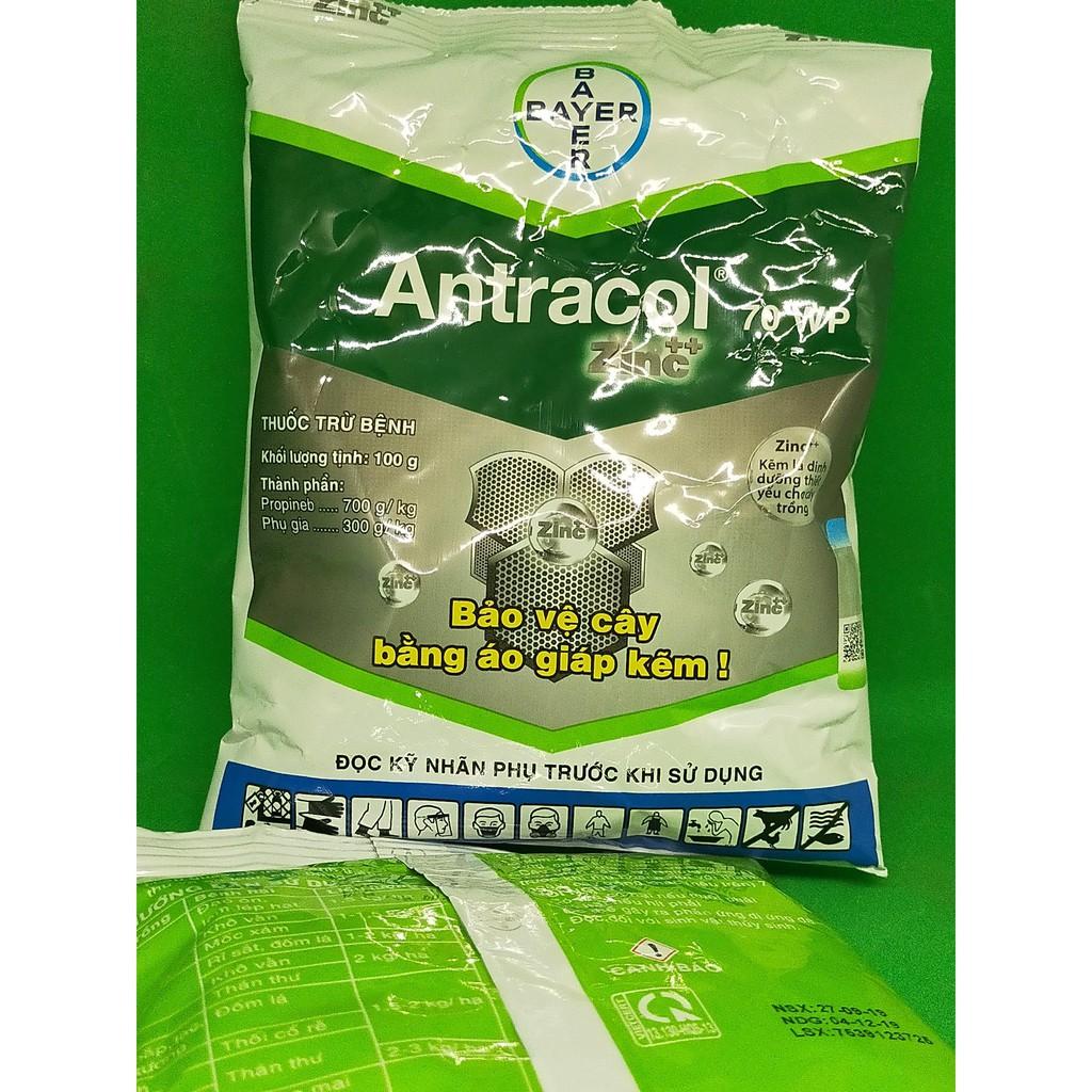 Trị nấm bệnh cây trồng Antracol 70wp - gói 100g