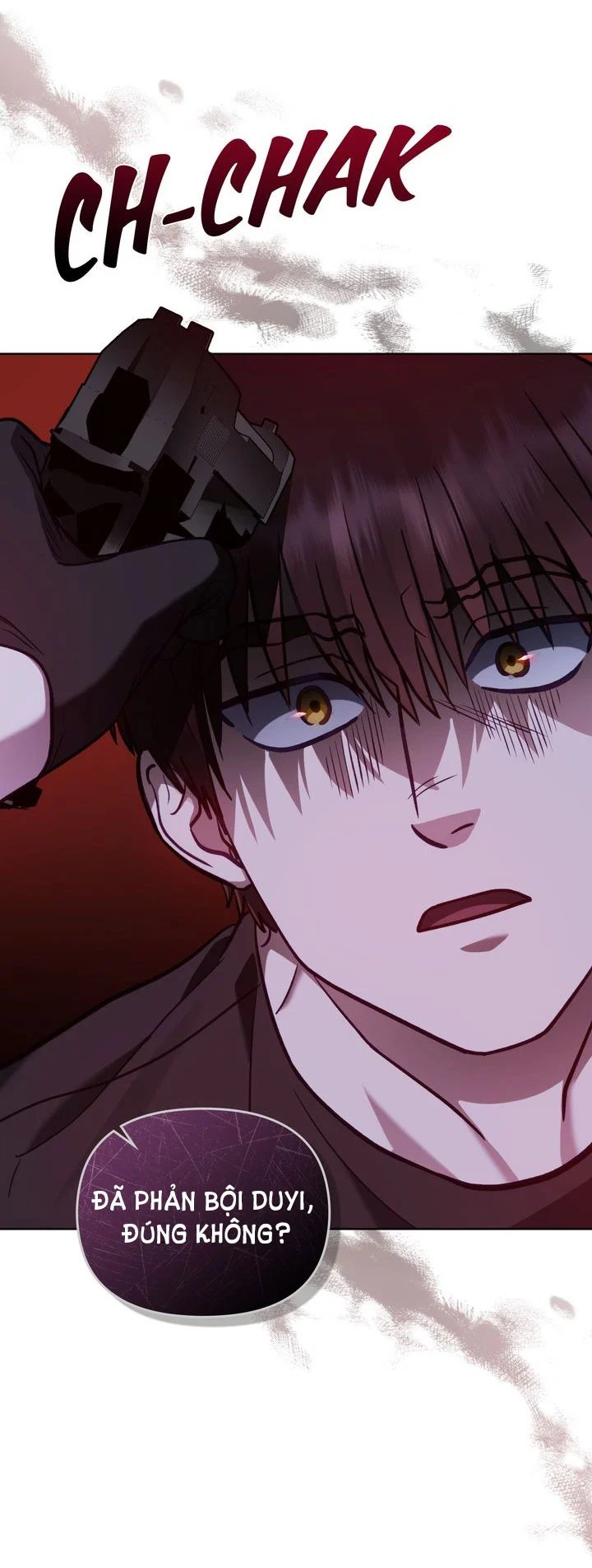 kẻ nghiệp dư chapter 20.5 28