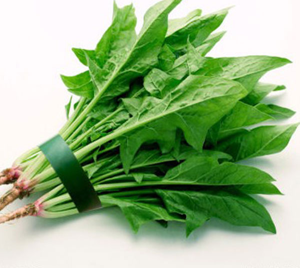 Hạt Giống Cải Bó Xôi - Nảy Mầm Cực Chuẩn