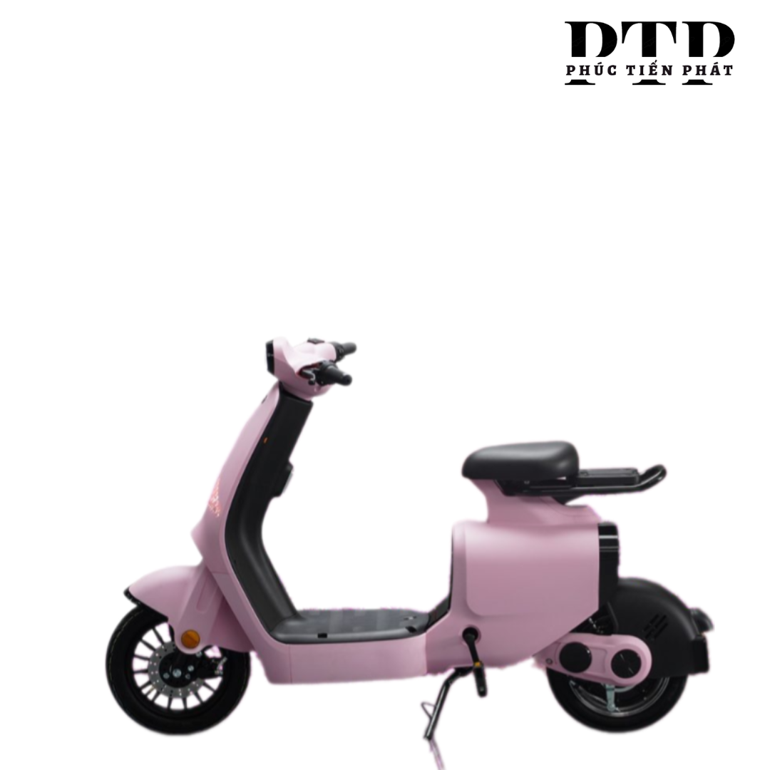 XE ĐẠP ĐIỆN DK S1