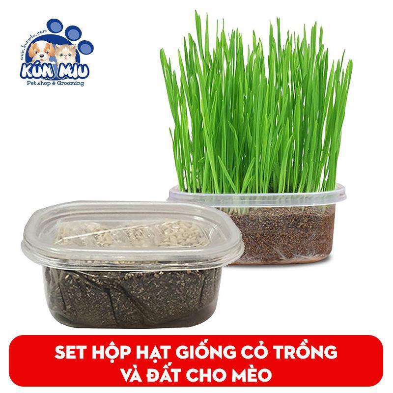 Set hộp hạt giống cỏ trồng và đất cho mèo - Set hạt giống cỏ Ngáo Và Gâu Đần