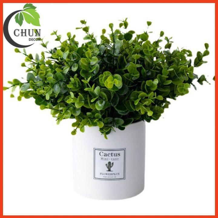Chậu Lá Kim Tiền Nhân Tạo Xanh Mướt Cao 25-28cm Trang Tí Nhà Cửa, Cửa Hàng, Văn Phòng, Lớp Học