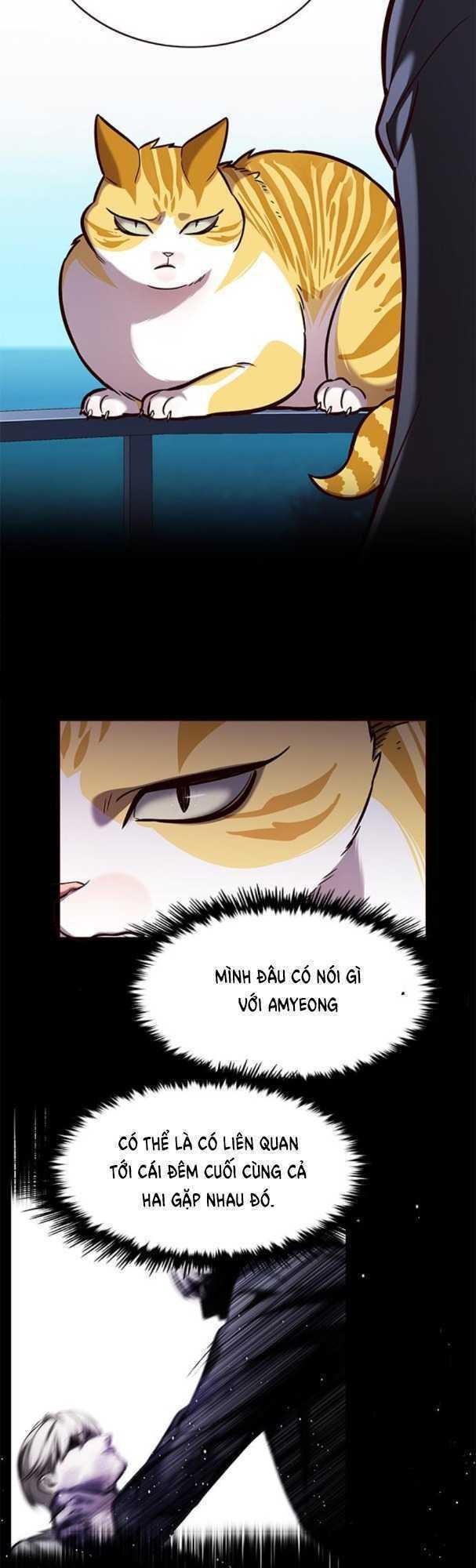 biến thân thành mèo chapter 169 39