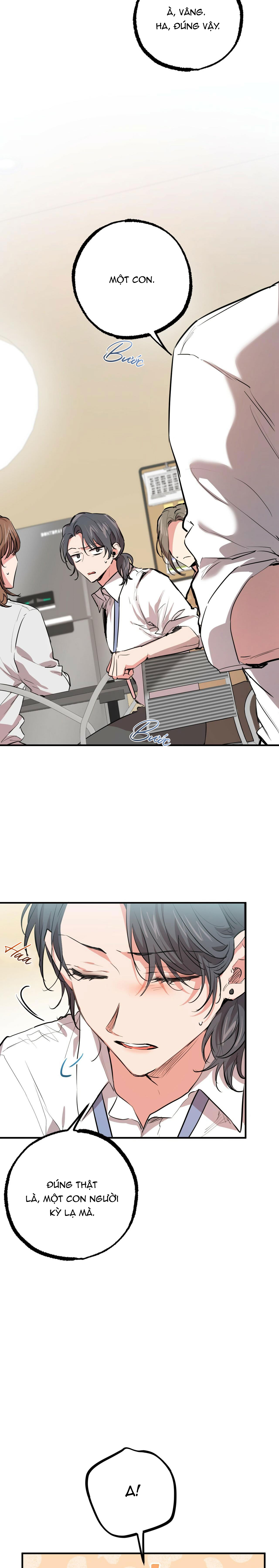 những chú thỏ của hapypy chapter 28 22