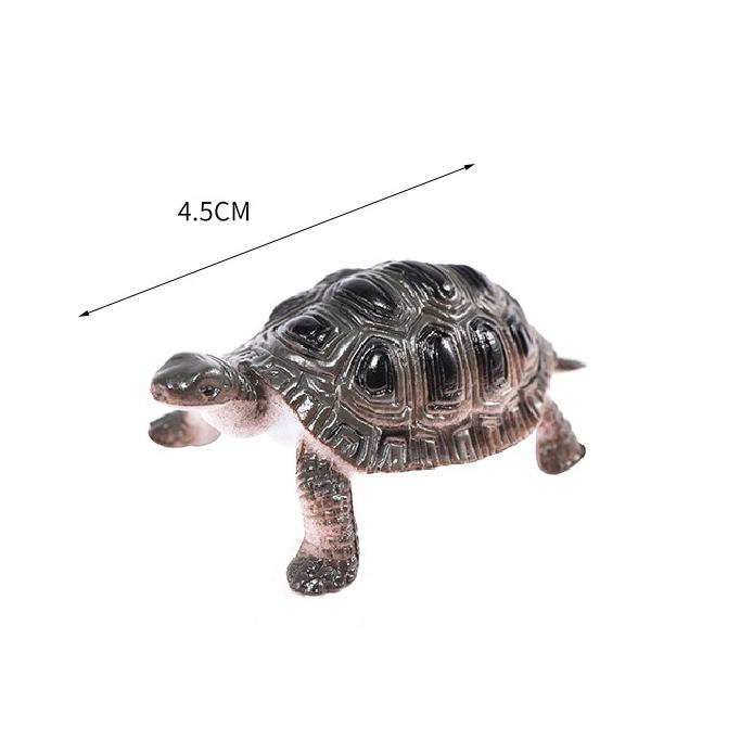 Đồ chơi 12 con Rùa Natural Turtle 5 cm mô hình đáng yêu bằng nhựa cứng đặc nhiều màu sắc độc đáo cho bé