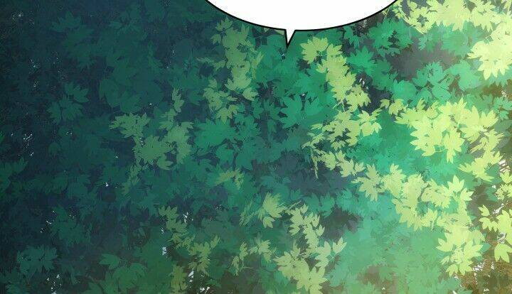 đô đốc đại nhân sủng thê kí chapter 1.8 9