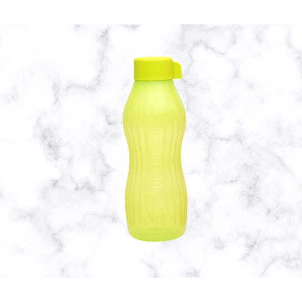 Bình nước Tupperware Eco Bottle Freezerable 880ml tạo đá trong ngăn đông