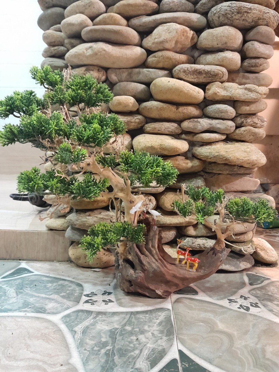 Bonsai Bể Cá – Cây Bonsai Đặt Phòng Khách