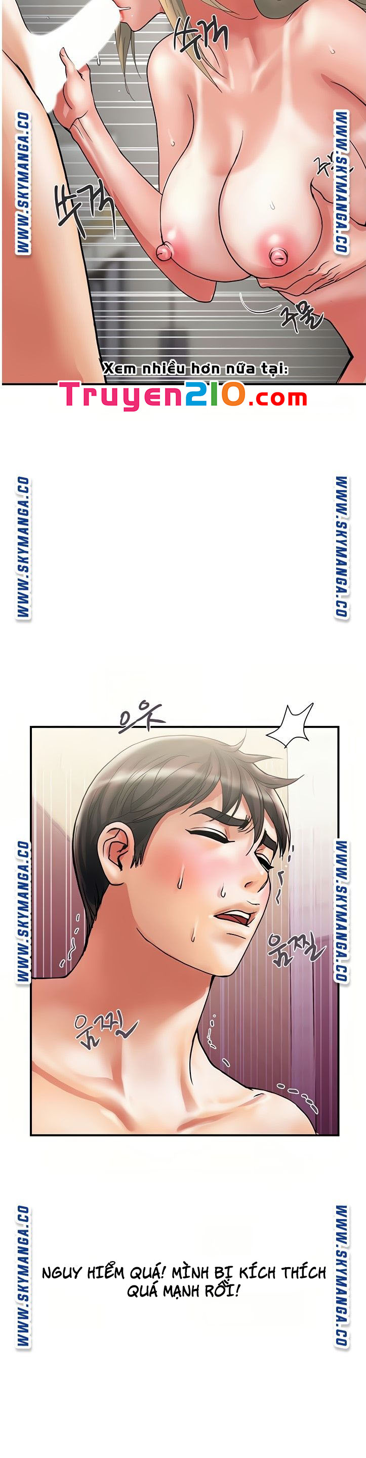 chất dẫn dục chapter 11 18