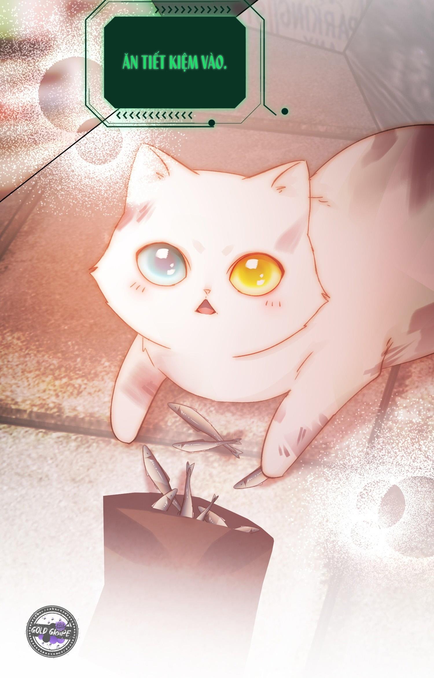 tôi phải trở thành nhân vật đại phản diện chapter 65 8