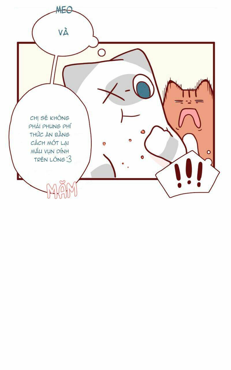 saphie: chú mèo một mắt chapter 18 6