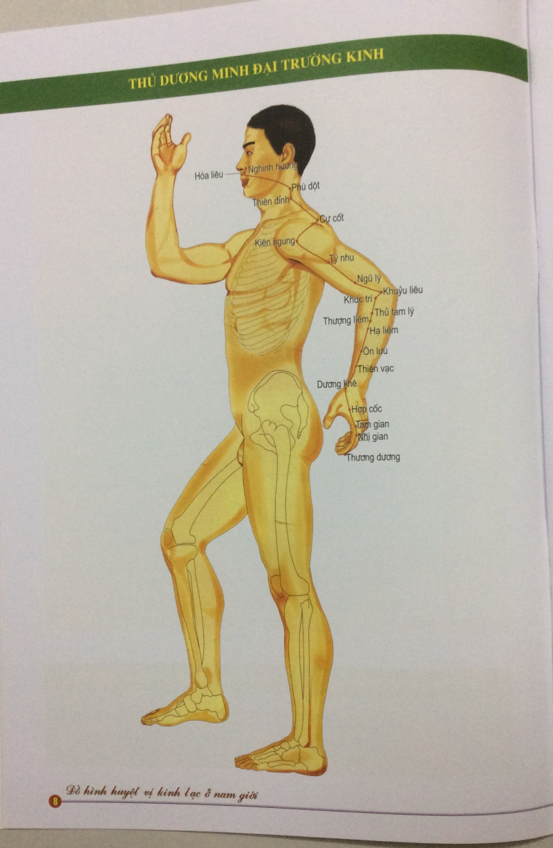 Sách - Đồ Hình Huyệt Vị Kinh Lạc Ở Nam Giới - Hán Trúc