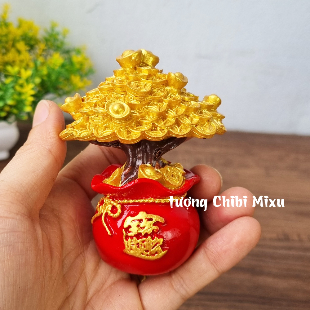 Chậu cây kim tiền size 8cm may mắn tài lộc