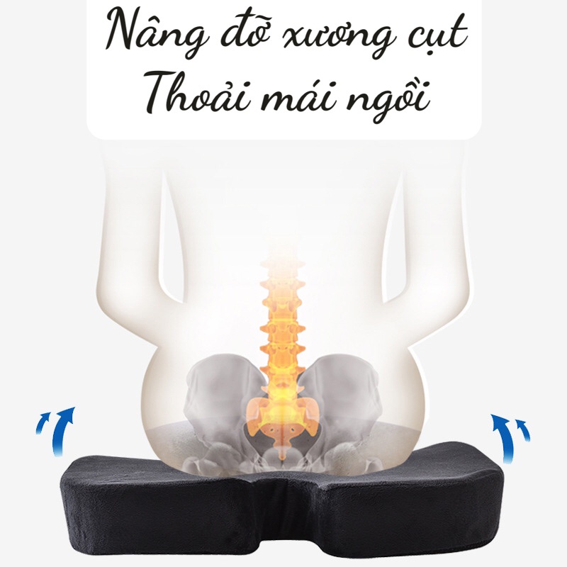 Gối lót ghế văn phòng cao su non thương hiệu Doron