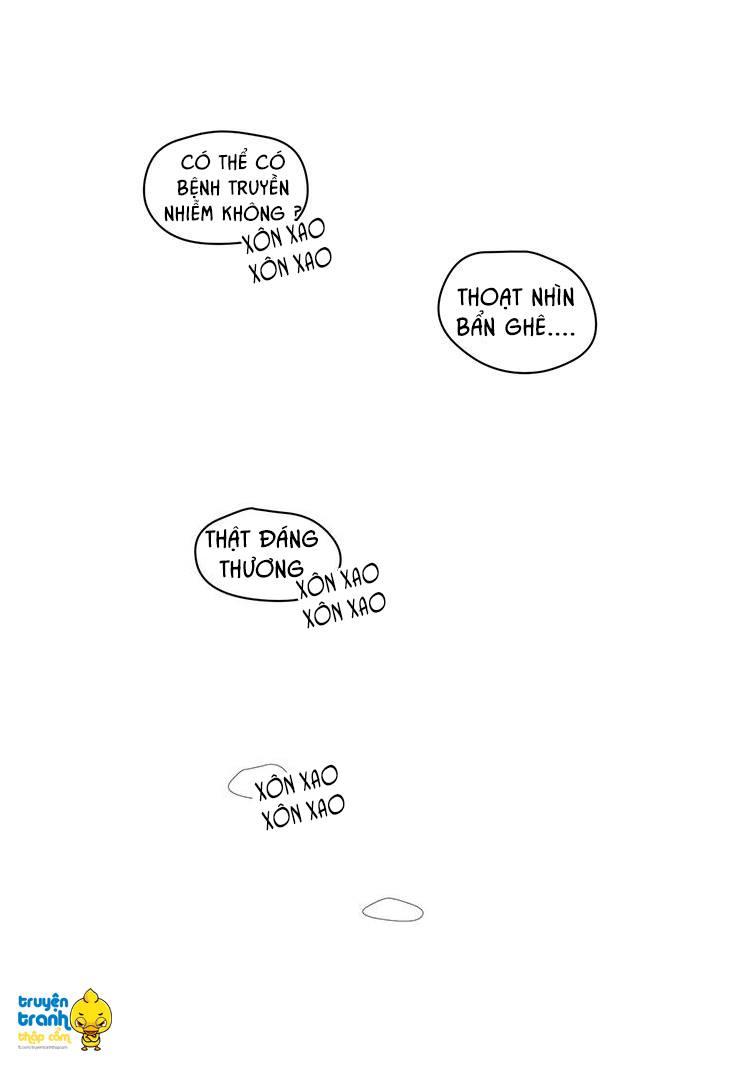 cứu mạng ! loài mèo thống trị thế giới rồi ! chapter 5 14