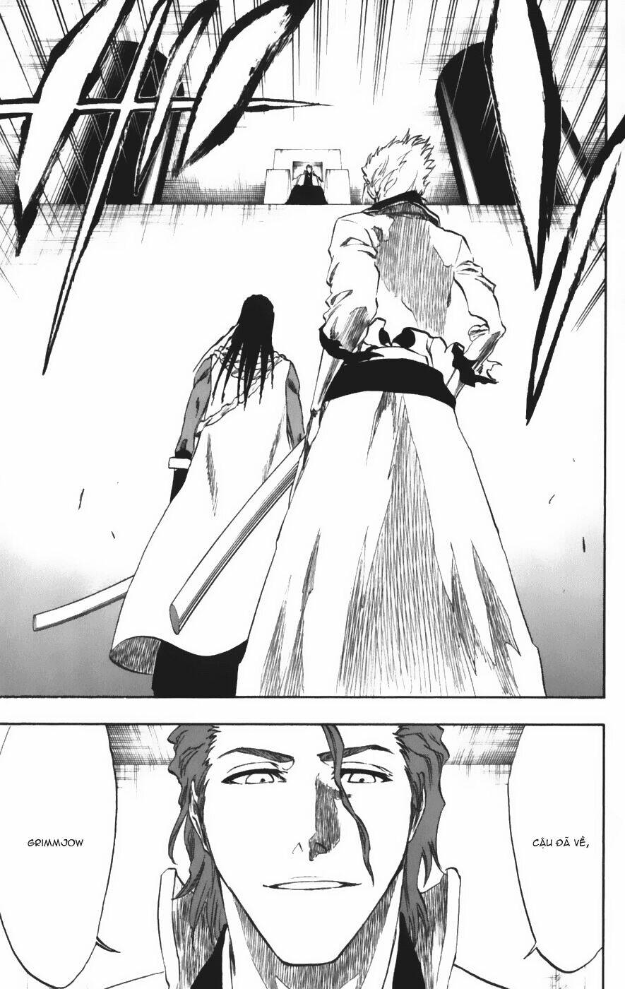 thần chết ichigo chapter 213 9