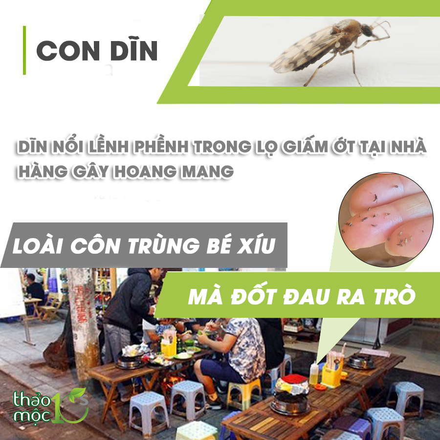 Bình xịt diệt côn trùng Muỗi Kiến Gián Mối Mọt Sinh Học 100% THẢO MỘC 10S - An toàn hiệu quả (Hương Bạc Hà mới )