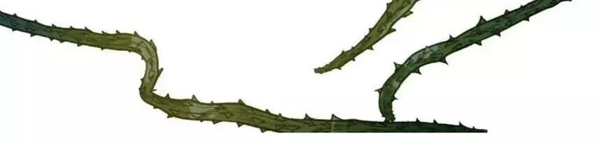 yêu long đại nhân của ta chapter 5 51