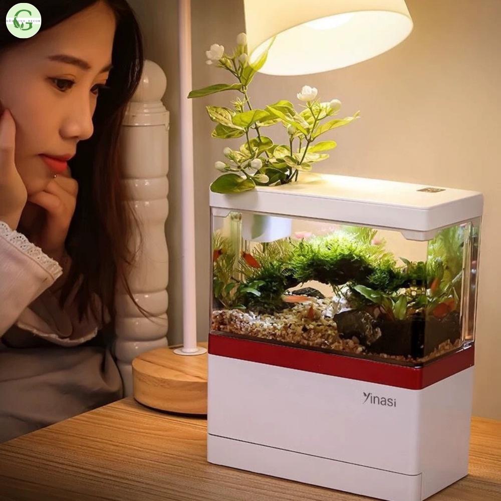 Bể Cá Mini FISH TANK Để Bàn Làm Việc Đa Chức Năng Hồ Thủy Sinh