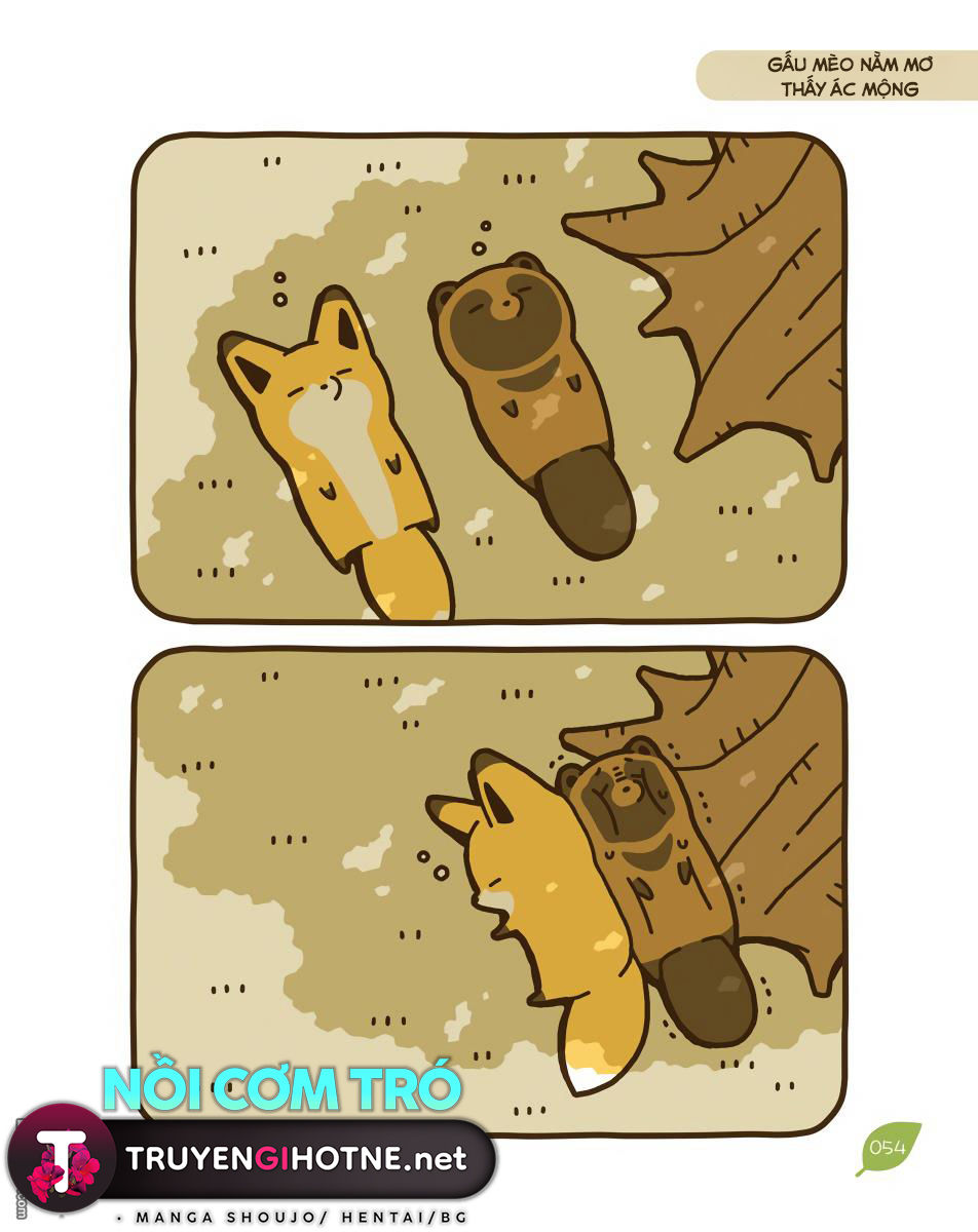 cáo và gấu mèo chapter 11 13
