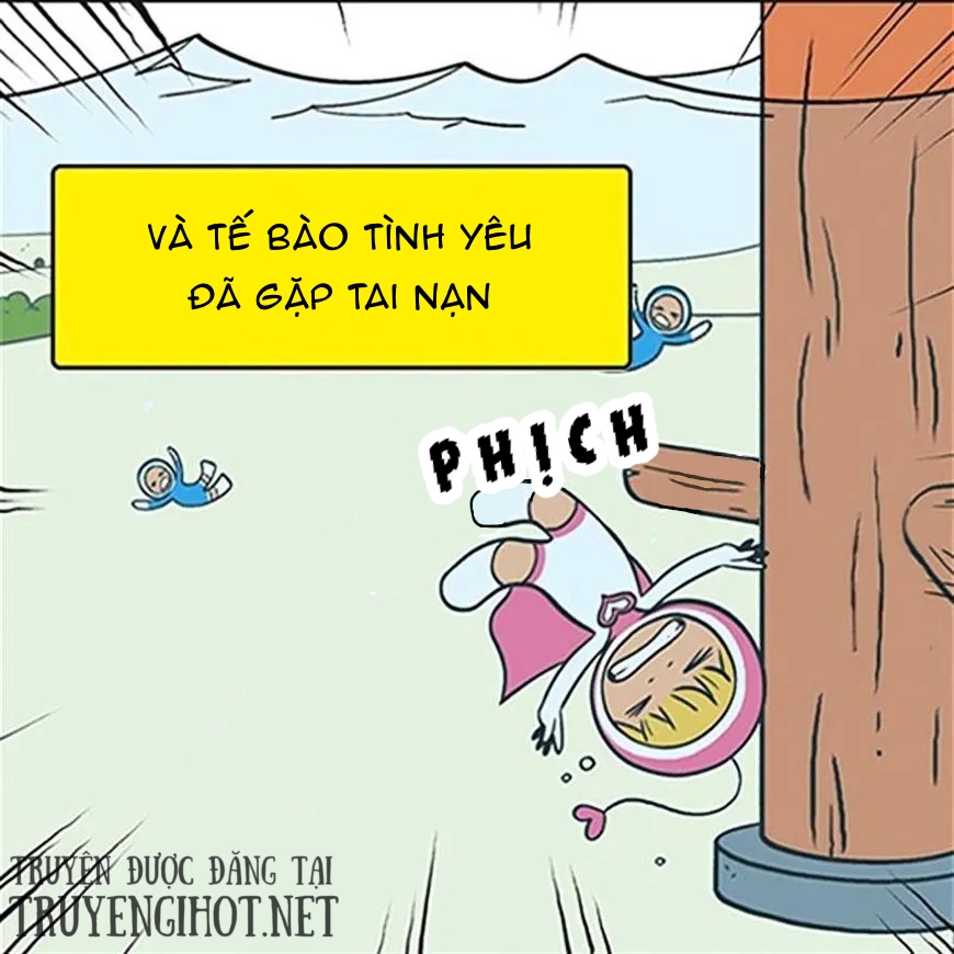 yumis cells chapter 4 13