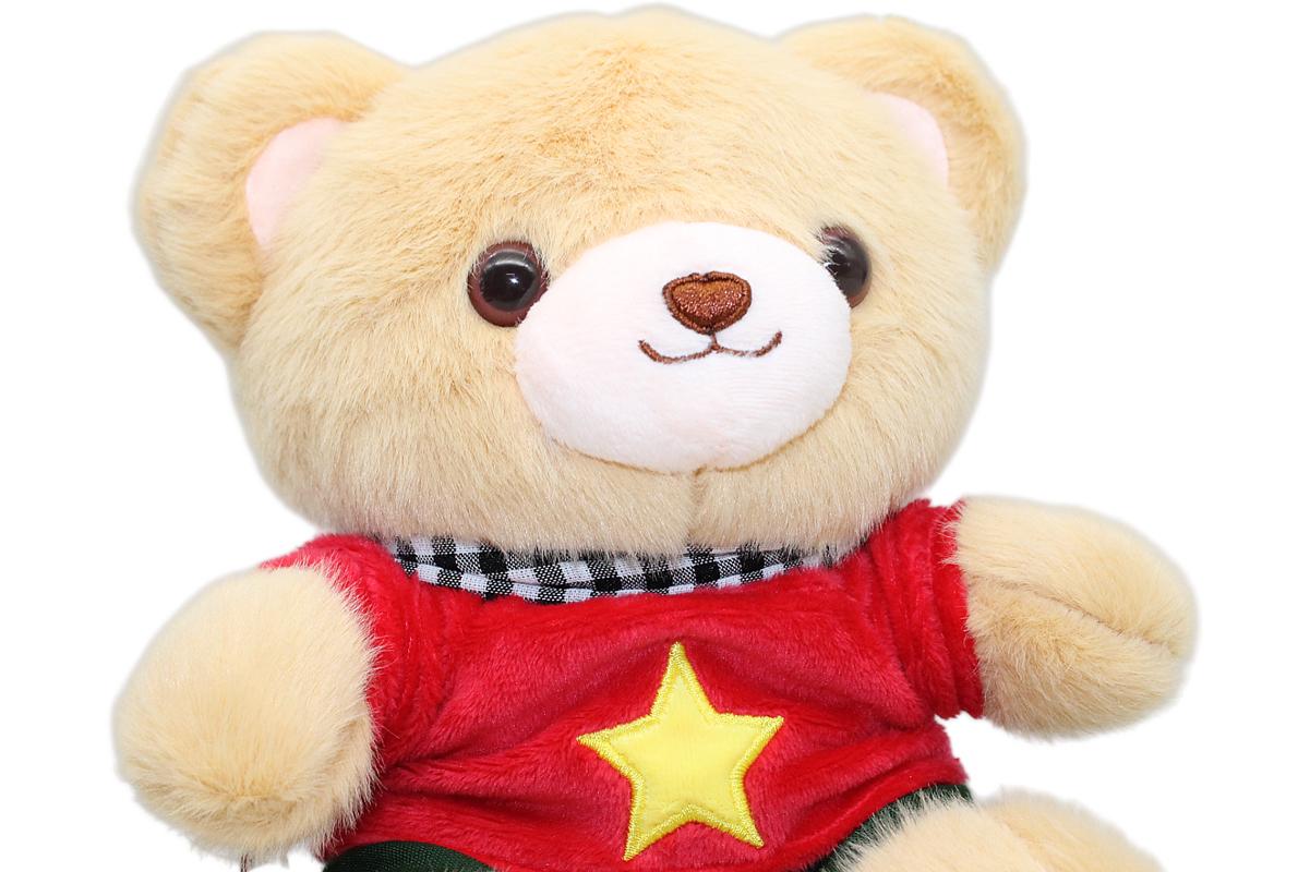 Gấu Bông Yêu Nước Áo Quốc Kỳ - 20 cm - ZooZoo 2016025