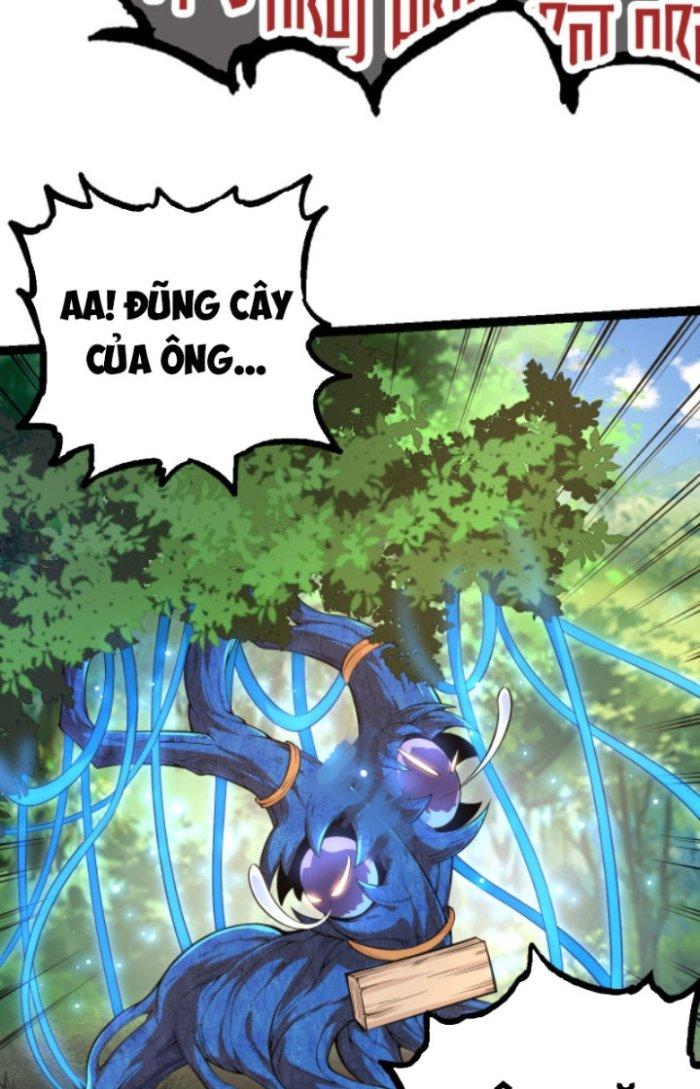 từ cây cổ thụ bắt đầu tiến hóa chapter 2 62