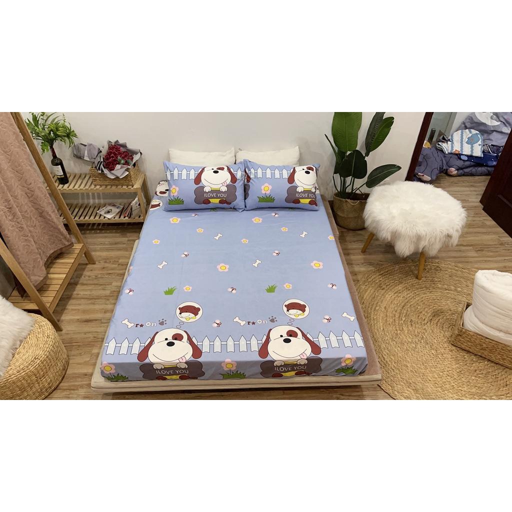 Set ga 3 món 1 ga chun và 2 vỏ gối các kích thước