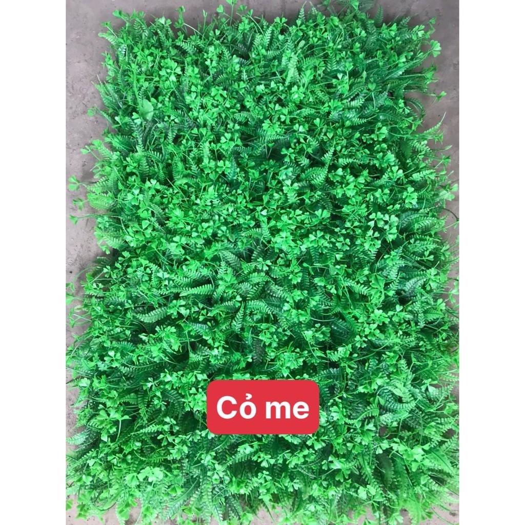 Cỏ treo tường cỏ me kt 40 x60