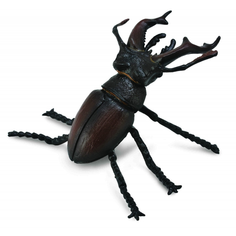Mô hình thu nhỏ: Bọ Vừng - Stag Beetle, hiệu: CollectA, mã HS 9653110 - Chất liệu an toàn cho trẻ - Hàng chính hãng