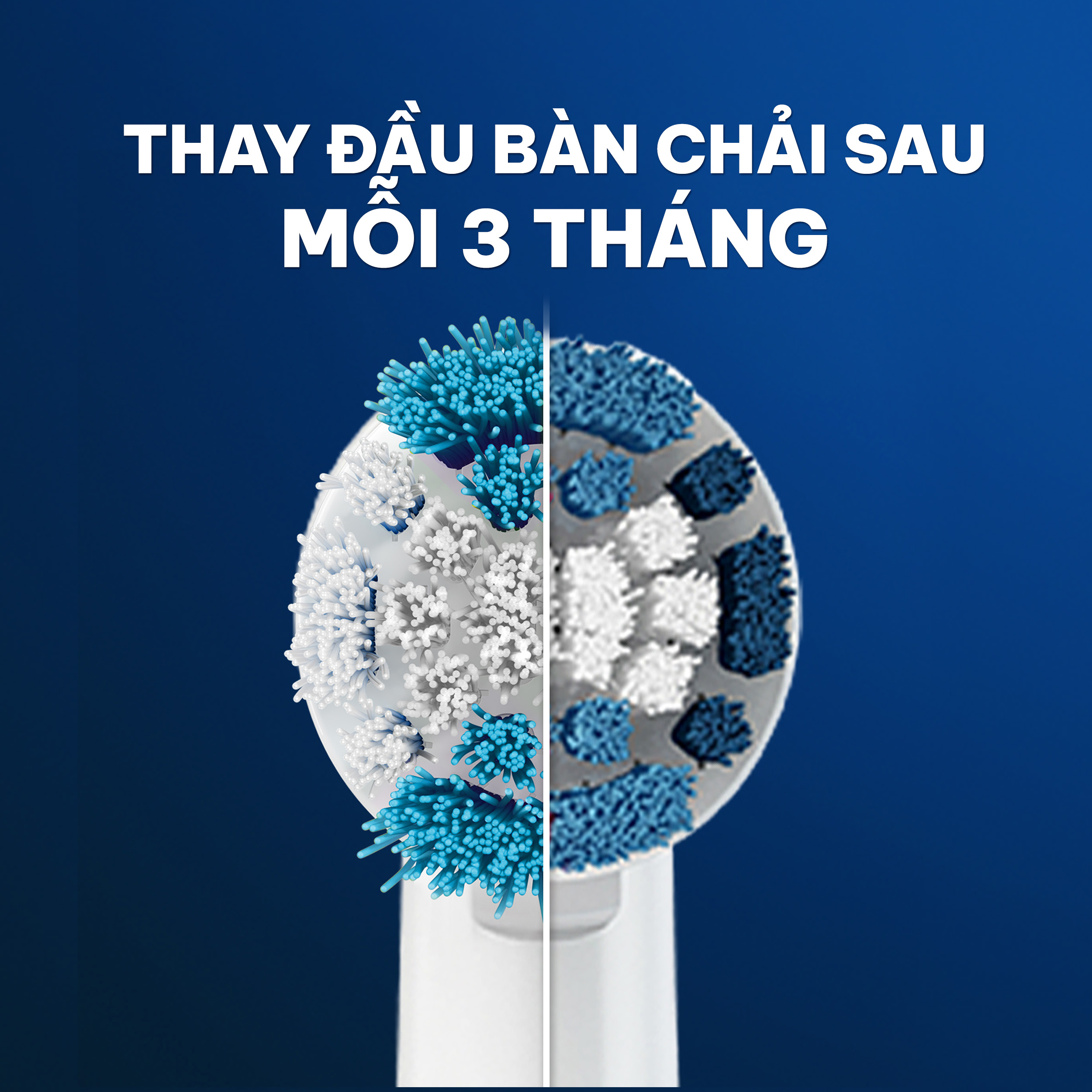 Đầu bàn chải Oral-B Precision Clean - Hàng chính hãng 100