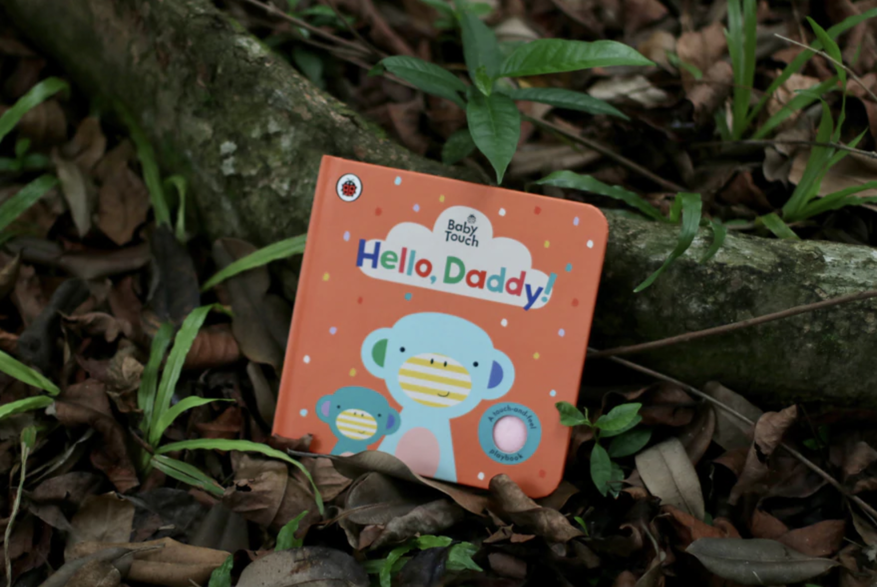 Baby Touch-Small: Hello, Daddy!