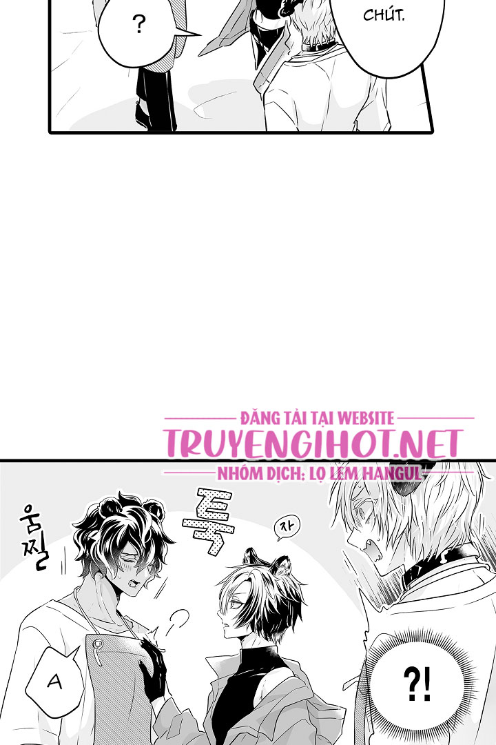 gấu ngủ đông chapter 12.2 12