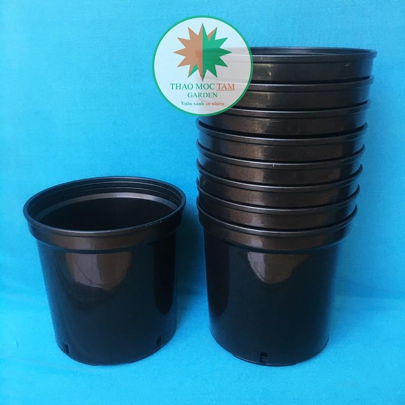 10c Chậu nhựa cứng 18x16cm – Chậu nhựa cứng, dày, miệng vành cứng trồng hoa hồng, hoa chậu
