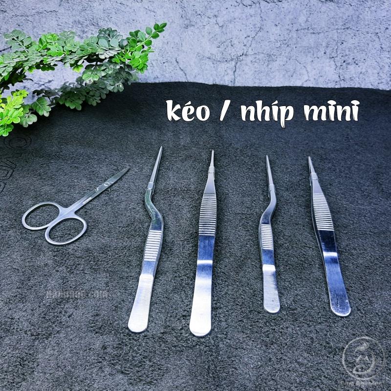 Kéo Nhíp Mini - Phụ kiện Cho Bể Thuỷ Sinh Mini, Bể Nano