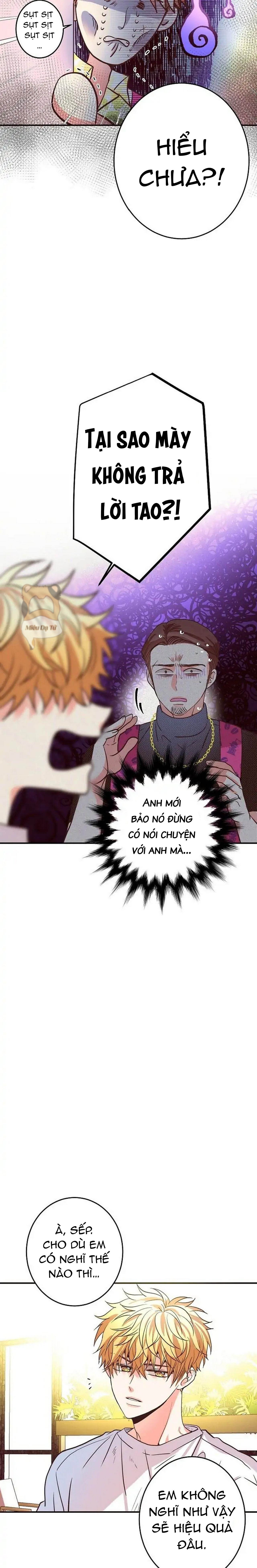 mối quan hệ phù hợp chapter 20 11