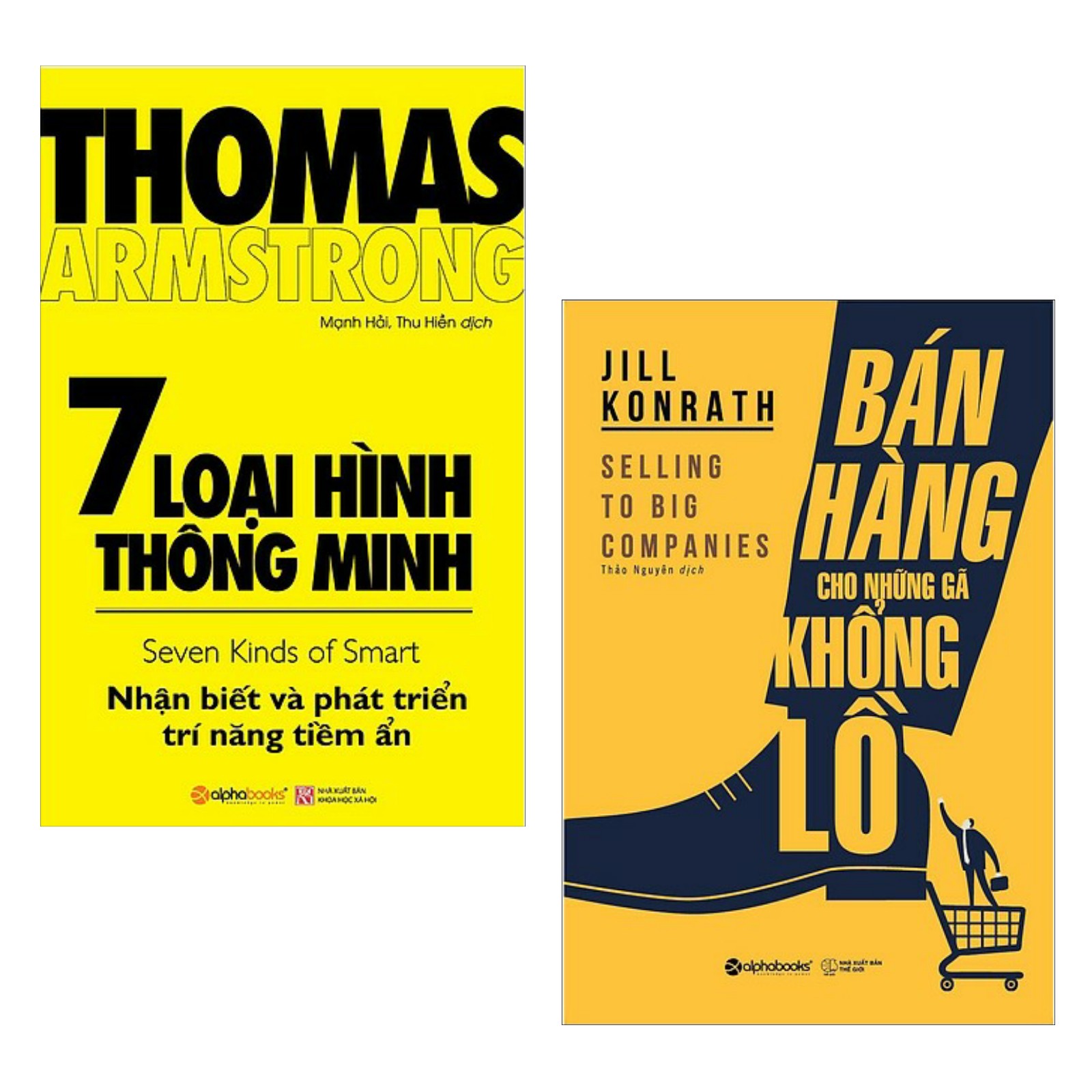 Combo Sách Kỹ Năng Làm Việc : 7 Loại Hình Thông Minh + Bán Hàng Cho Những Gã Khổng Lồ -