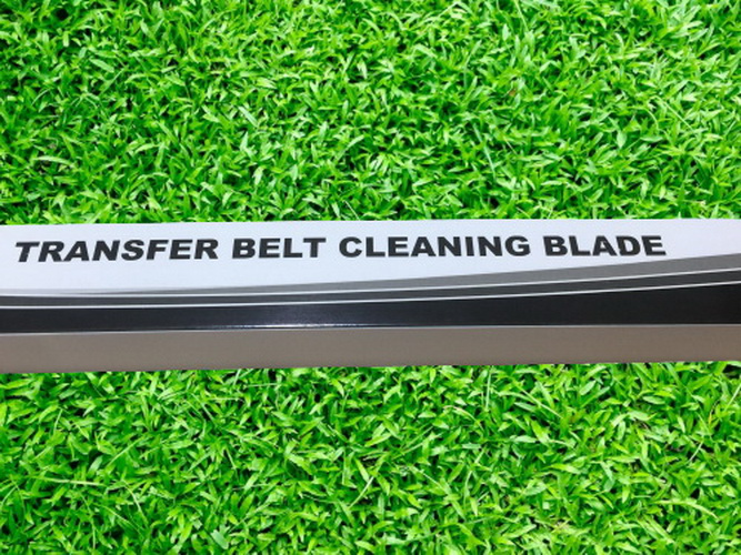 Gạt Belt Ricoh 1060/2060/6001/ 7500/8001/9002