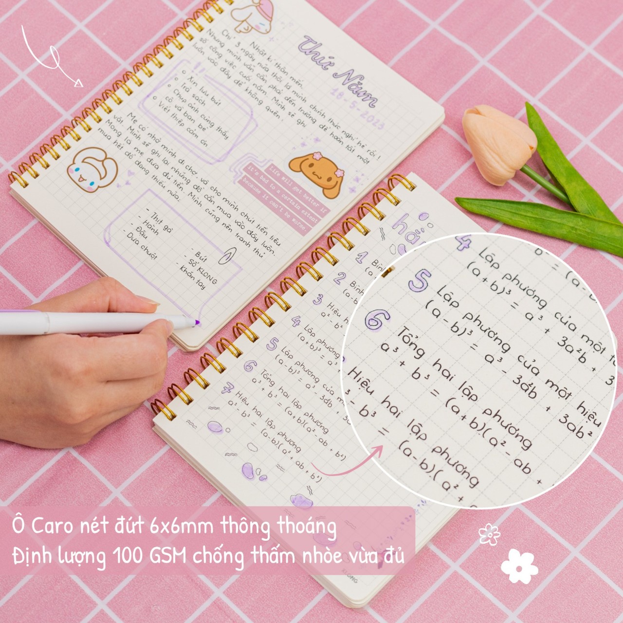 Sổ Dash Caro mm lò xo kép bìa nhựa 2 mặt A5 120/200 trang 100/76; MS: 592,593 Klong - VPP Thiên Ái