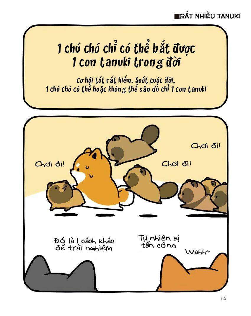 taru shiba chapter 9 15