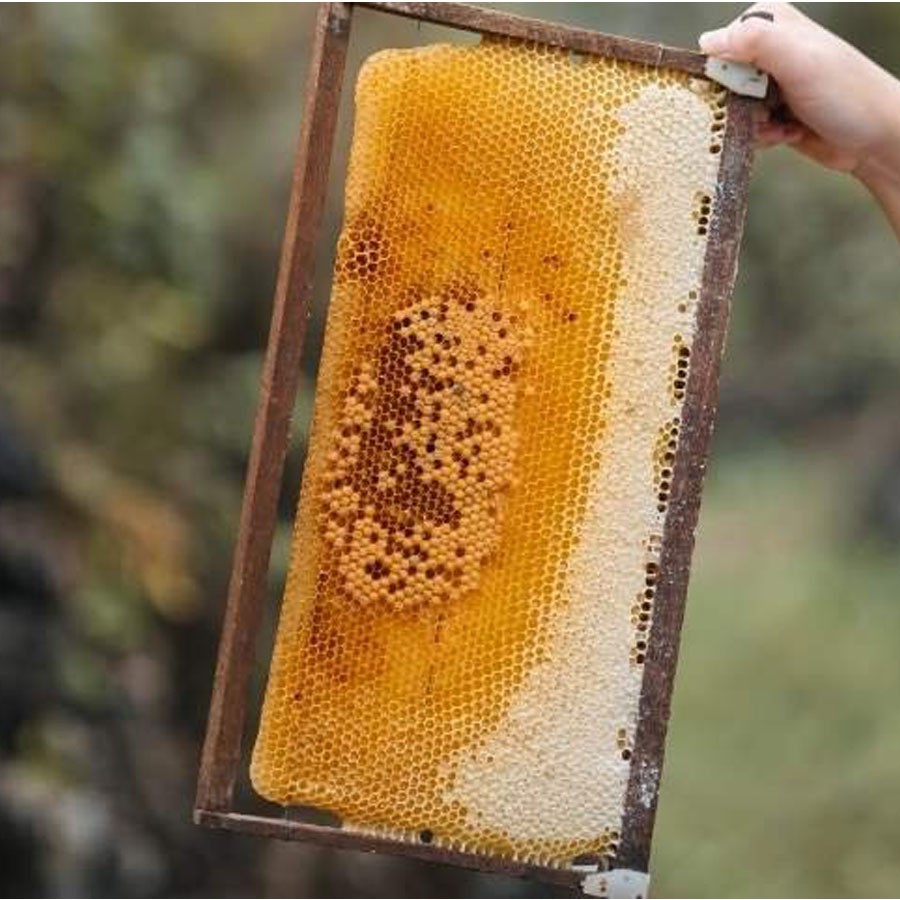 Combo 2 chai Mật ong cao thảo dược Lady giúp ngủ ngon Honimore 310g tặng 1 chai cùng loại - mật ong rừng nguyên chất phối trộn với cao thảo dược