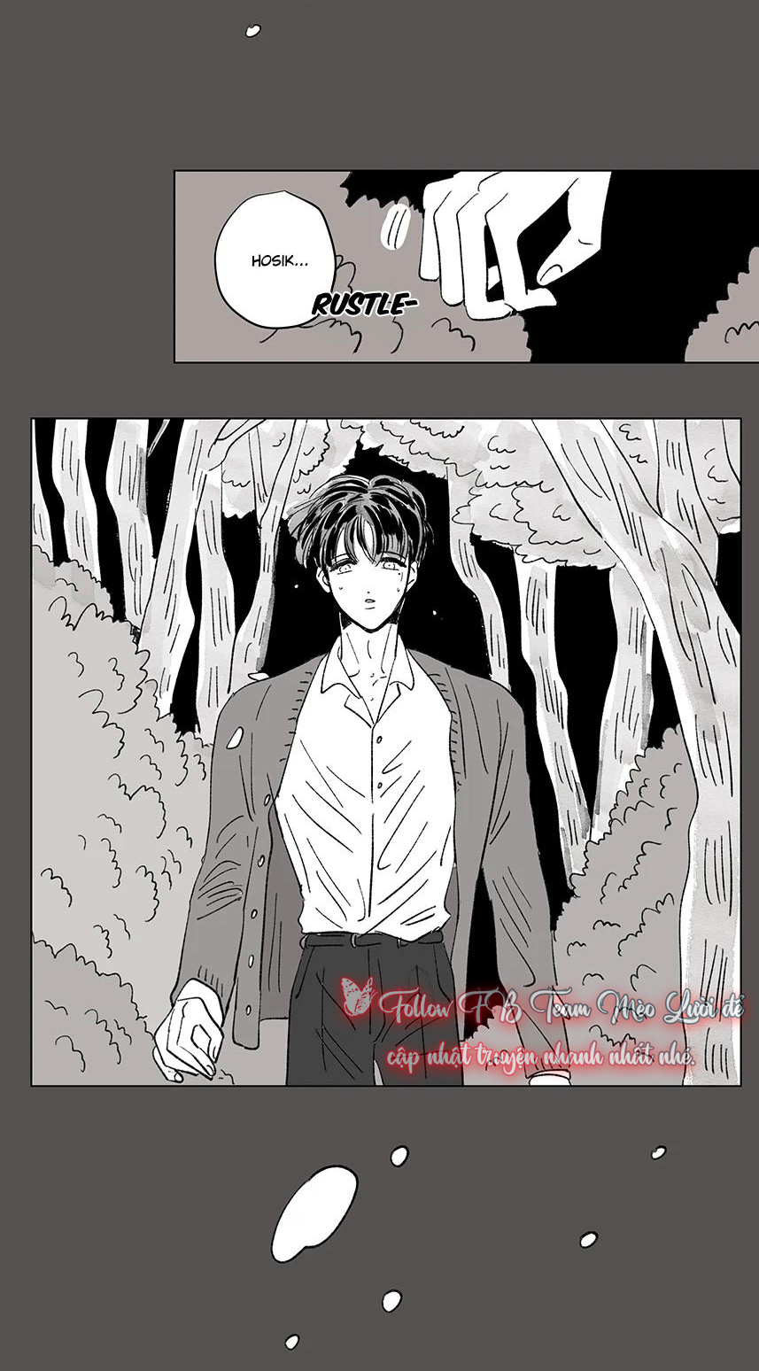 câu chuyện của hosik chapter 97 17