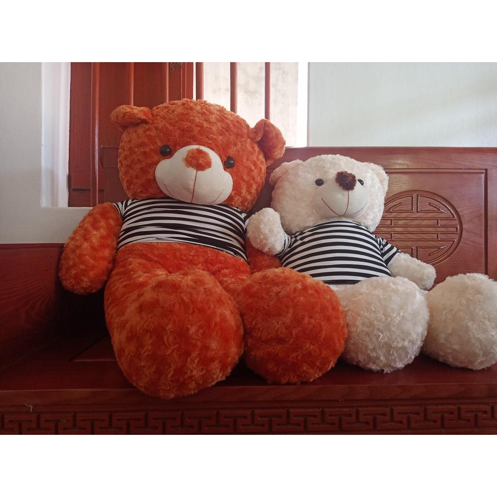 Gấu bông to teddy khổng lồ ôm ngủ cho người lớn kích thước 1m2 ️RẺ NHẤT VIỆT NAM️ Gấu quà tặng Valentine