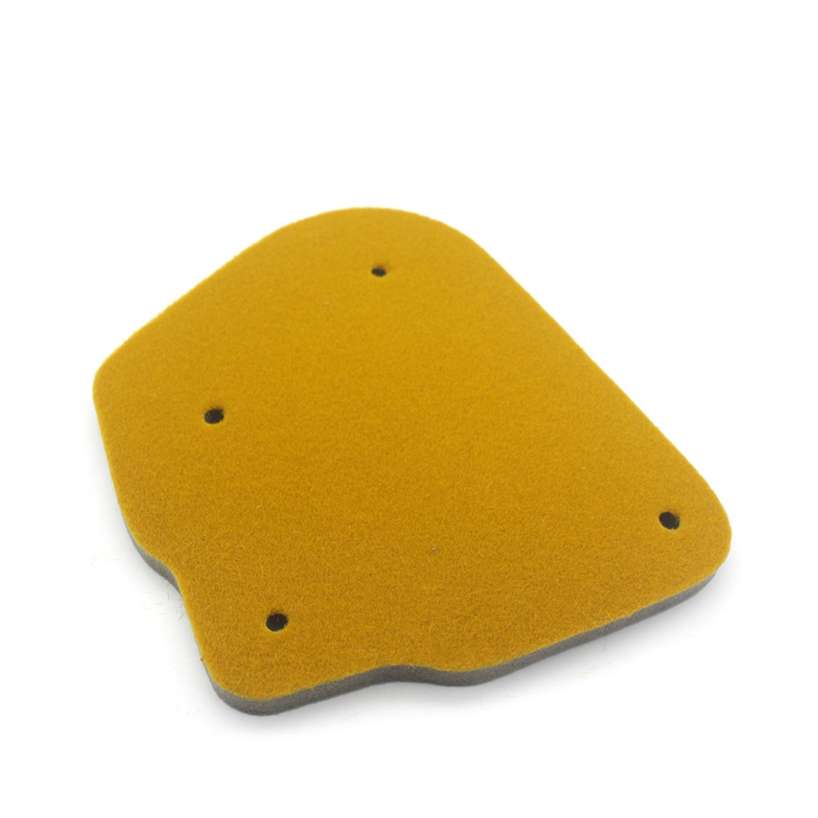 Filter Professional for WY BWS 50 WY50 BWS100