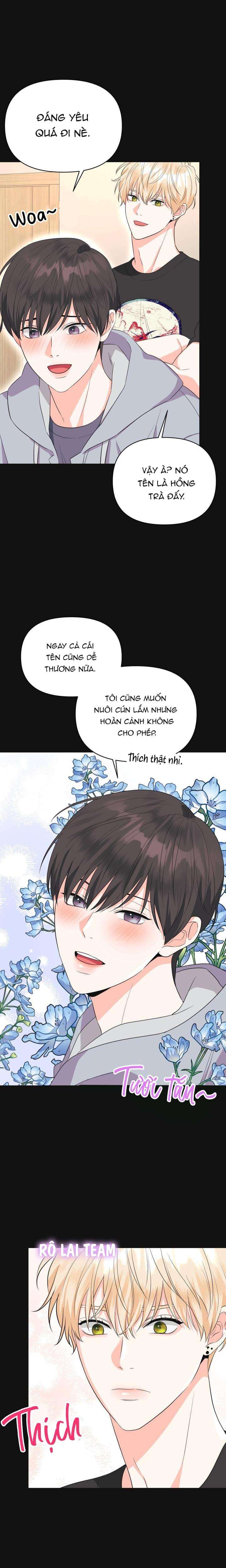 playlist tua ngược chapter 3 12