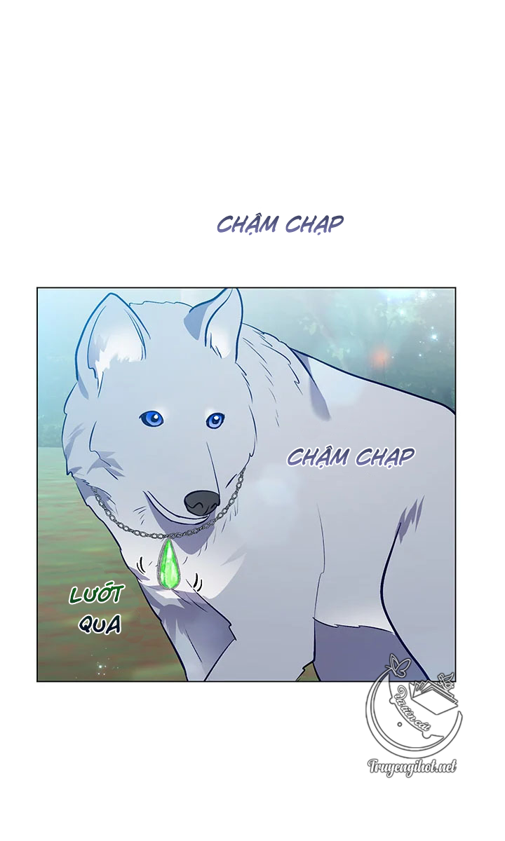 elizabeth chapter 43.1 16